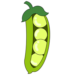 How to Draw Peas in a Pod Step by Step