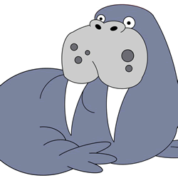 How to Draw a Walrus Step by Step