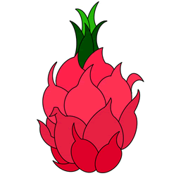 How to Draw a Dragon Fruit Step by Step