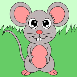 How to Draw a Mouse Step by Step