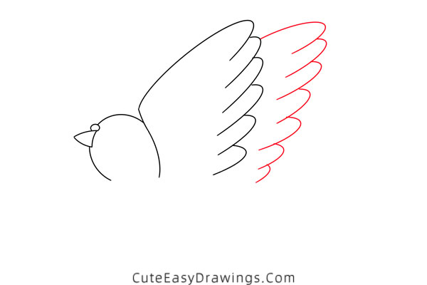 how to draw a pigeon - www.cuteeasydrawings.com