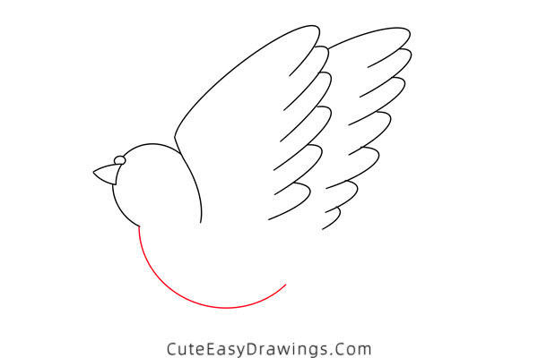 how to draw a pigeon - www.cuteeasydrawings.com