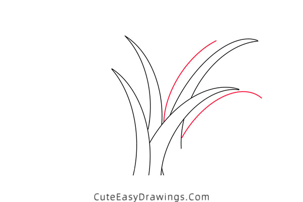 how to draw grass - www.cuteeasydrawings.com