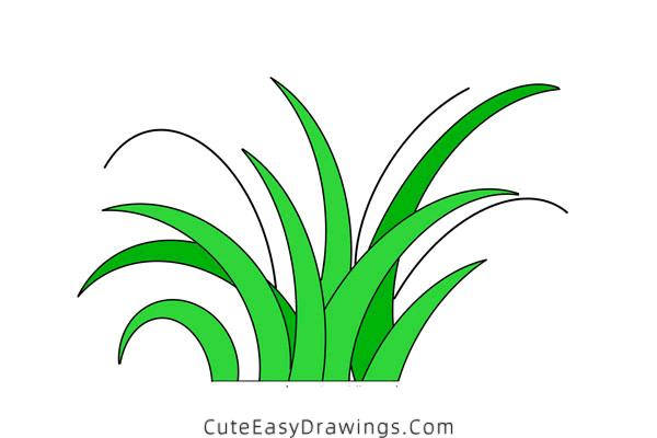 how to draw grass - www.cuteeasydrawings.com