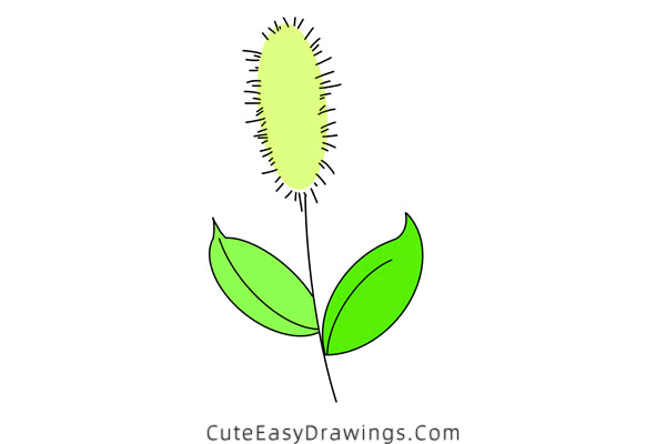 how to draw a green foxtail - www.cuteeasydrawings.com