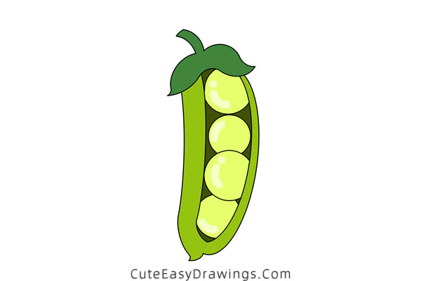 how to draw peas in a pod - www.cuteeasydrawings.com