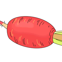 How to Draw a Carrot Step by Step