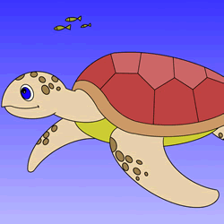 How to Draw a Turtle Step by Step