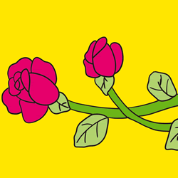 How to Draw a Rose on Branch Step by Step