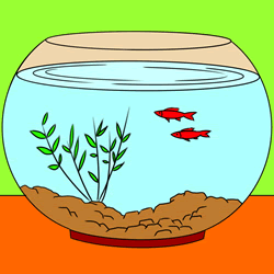 How to Draw a Fish Tank Step by Step