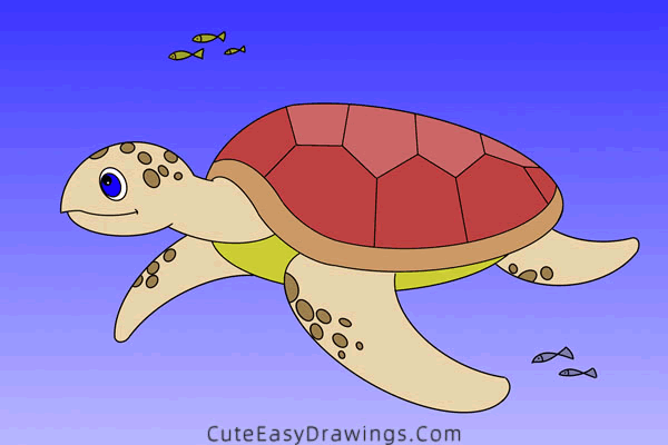 how to draw a turtle - www.cuteeasydrawings.com