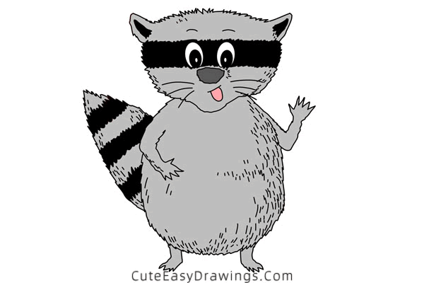 how to draw a raccoon - www.cuteeasydrawings.com