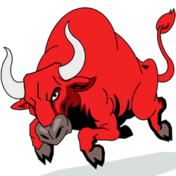 How to Draw a Bull Step by Step