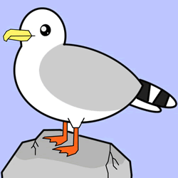 How to Draw a Seagull Step by Step