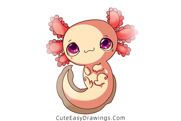 how to draw a salamander - www.cuteeasydrawings.com