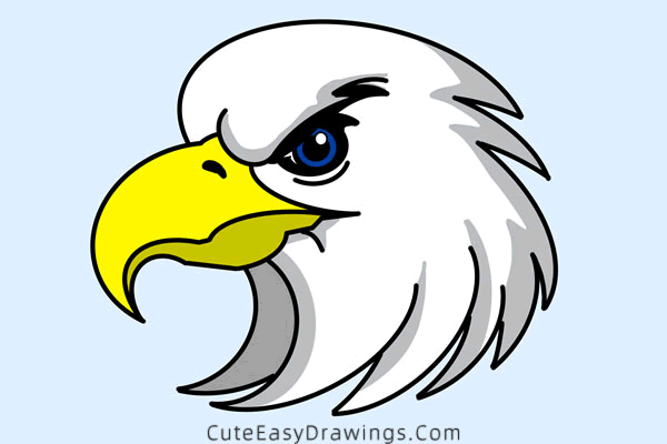 Drawing Eagle PNG Transparent Images Free Download | Vector Files | Pngtree