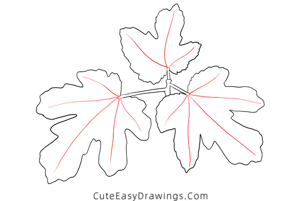 how to draw a fig leaf - www.cuteeasydrawings.com
