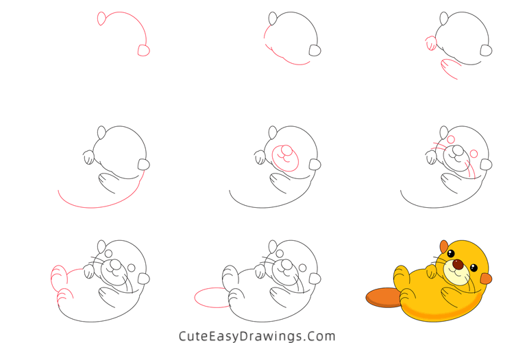 how to draw a sea otter - www.cuteeasydrawings.com