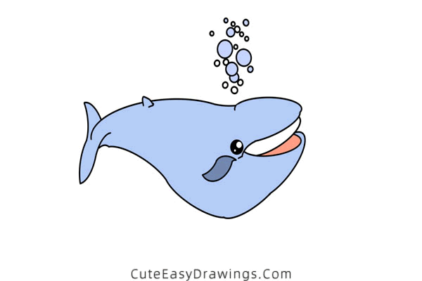 how to draw a blue whale - www.cuteeasydrawings.com