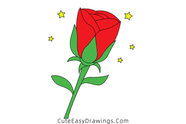how to draw a rose - www.cuteeasydrawings.com