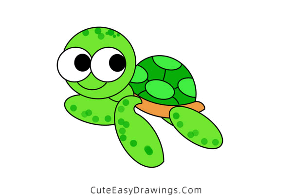 how to draw a sea turtle - www.cuteeasydrawings.com