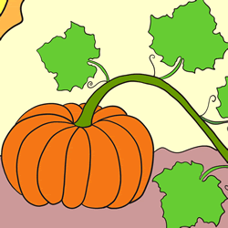 How to Draw a Pumpkin Step by Step