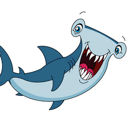 How to Draw a Hammerhead Shark Step by Step
