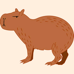 How to Draw a Capybara Easy Step by Step