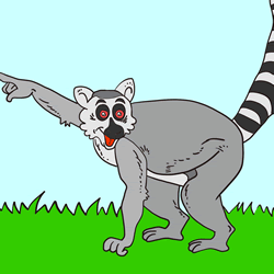 How to Draw a Lemur Step by Step