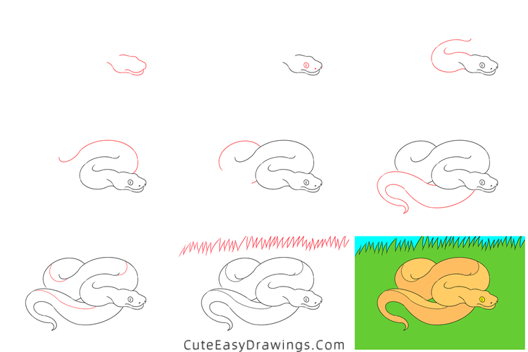how to draw a python - www.cuteeasydrawings.com