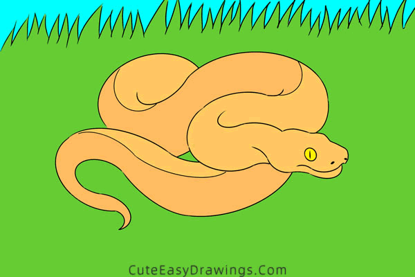 how to draw a python - www.cuteeasydrawings.com