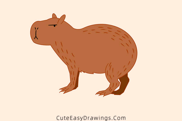 how to draw a capybara easy - www.cuteeasydrawings.com