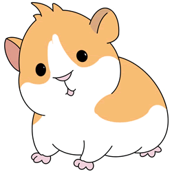 How to Draw a Hamster Step by Step