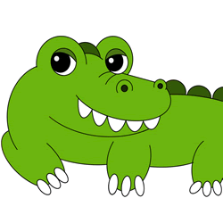 How to Draw an Alligator Step by Step