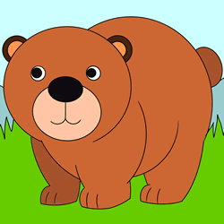 How to Draw a Bear Step by Step