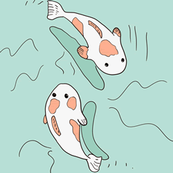 How to Draw a Koi Fish Step by Step