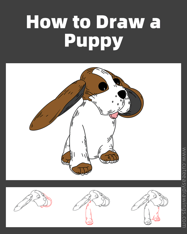 how to draw a puppy easy - www.cuteeasydrawings.com