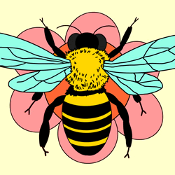 How to Draw a Wasp Step by Step