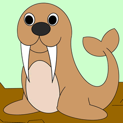 How to Draw a Walrus Easy Step by Step