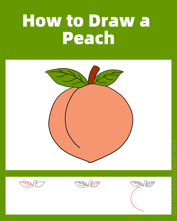 how to draw a peach - www.cuteeasydrawings.com