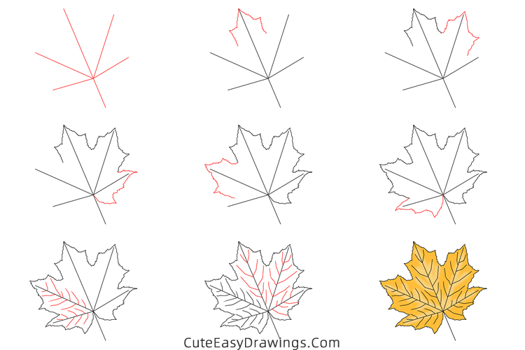how to draw a maple leaf - www.cuteeasydrawings.com