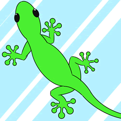 How to Draw a Gecko Step by Step