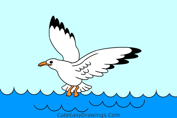 how to draw a seagull flying - www.cuteeasydrawings.com