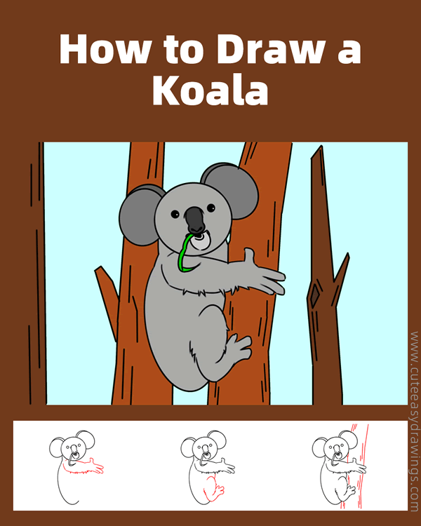 how to draw a koala on a tree - www.cuteeasydrawings.com