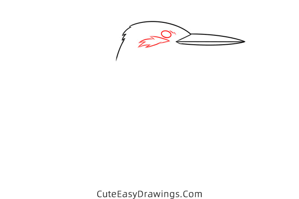 how to draw a kingfisher easy - www.cuteeasydrawings.com
