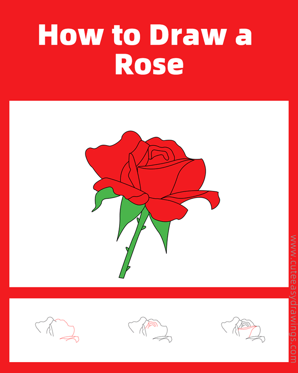 how to draw a blooming rose - www.cuteeasydrawings.com