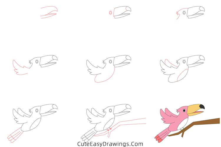how to draw a toucan - www.cuteeasydrawings.com