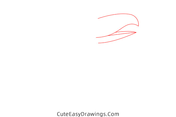 how to draw a toucan - www.cuteeasydrawings.com