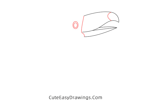 how to draw a toucan - www.cuteeasydrawings.com