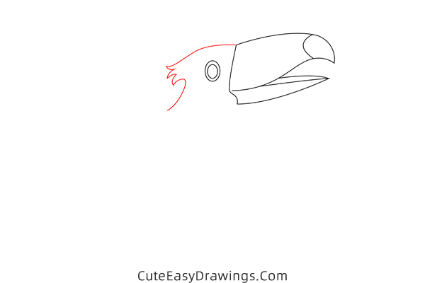 how to draw a toucan - www.cuteeasydrawings.com